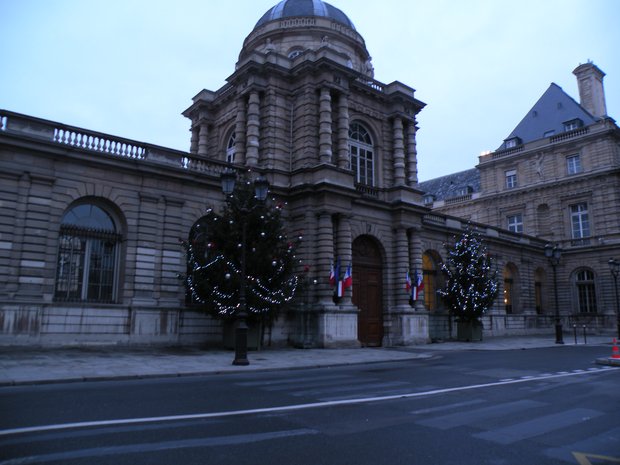  Le Sénat et ses deux sapins de noël